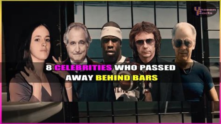 Celebrities Behind Bars: The Unlikely Lives Of Celebrity Felons