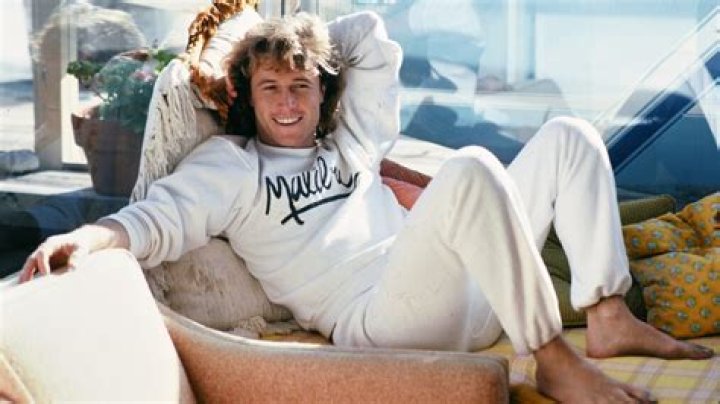 Did Andy Gibb's Daughter Inherit His Estate? Unraveling The Mystery
