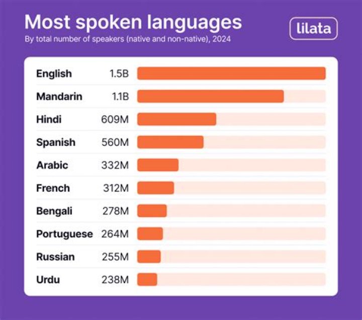 Discover The Languages Spoken By Ansel Elgort