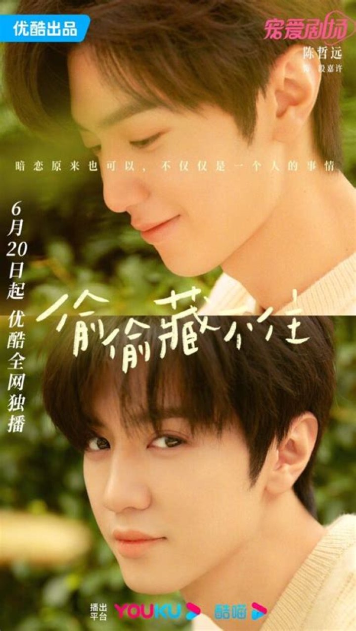 Exploring The Life And Career Of Chen Zhe Yuan