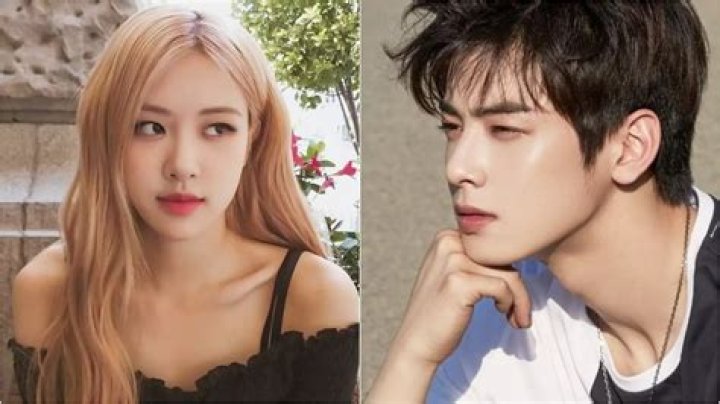 Is It True: Cha Eun Woo Engagement Rumours