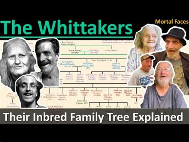 Tracing The Roots: Robert Whittaker's Family History