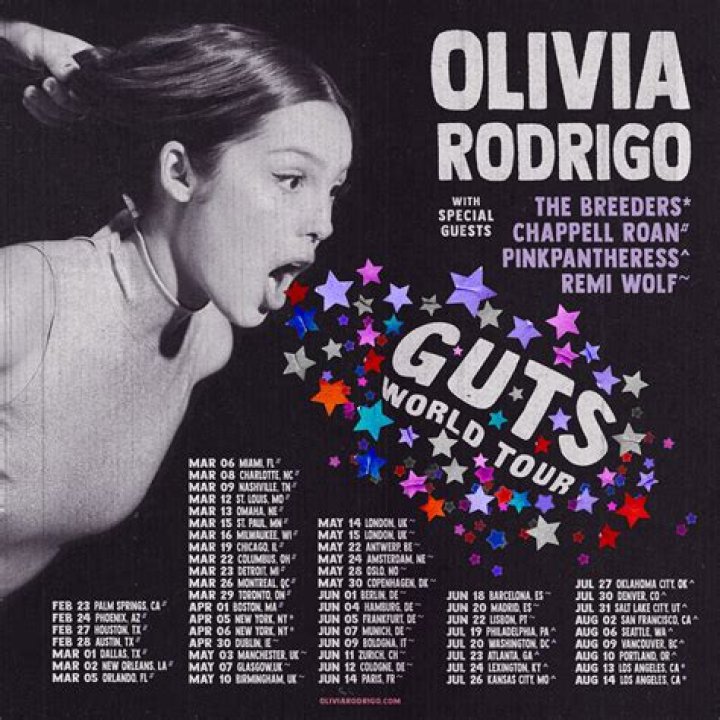 Unraveling The Pet Companion Of Olivia Rodrigo