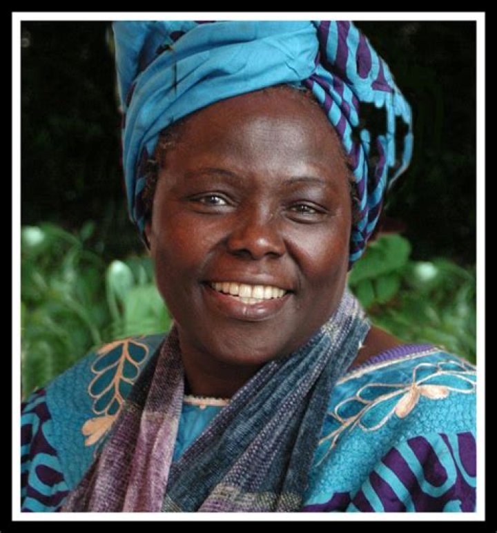 Unveiling The Life And Achievements Of Page Sargisson