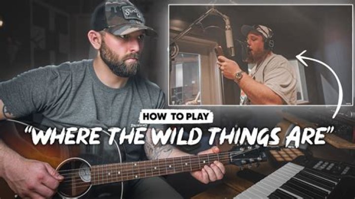 Where The Wild Things Are: Exploring The Meaning Behind The Song