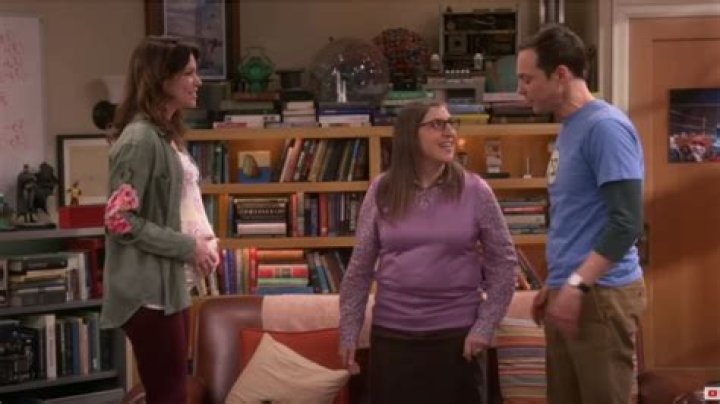 Who Portrays Missy Cooper On The Big Bang Theory: An Exploration